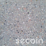 Xám đa sắc TR-01